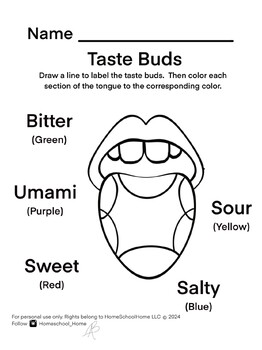 Preview of Taste Buds Label and Color Worksheet