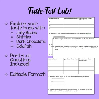 Preview of Taste Test Lab