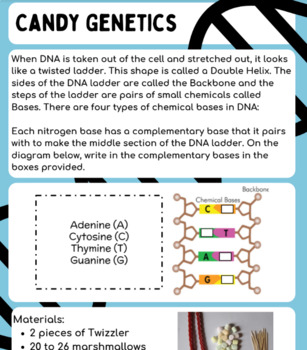 how to make a simple dna model for kids