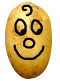 Taters - A fun Genetics Unit - SEL! STEM!