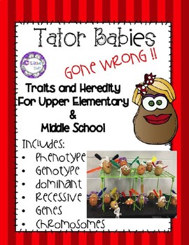 Preview of Tator Babies Genetics, Heredity, and Traits (Upper Elementary & Middle School)