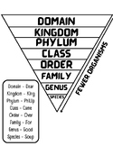 Taxonomic Levels