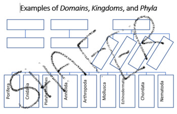 Interactive Taxonomy Chart