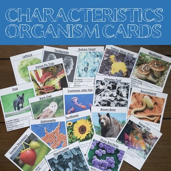 Preview of Taxonomy Card Sort and Organism Research Cards