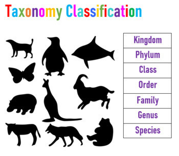 Preview of Taxonomy Classification Practice