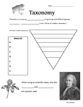 Taxonomy / Classification Worksheet by Andrew F Ferris | TPT
