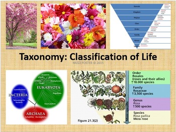Preview of Taxonomy, Classification of Life: Three Domains and Six Kingdoms PowerPoint
