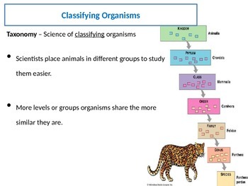 Preview of Taxonomy - Classifying Organisms & Scientific Naming