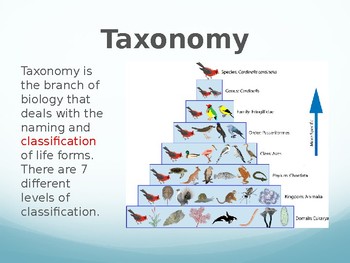 Taxonomy PPT by Biology Boutique | TPT