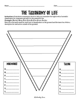 Preview of Taxonomy Pyramid Graphic Organizer Worksheet {Levels of Classification}