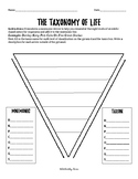 Taxonomy Pyramid Graphic Organizer Worksheet {Levels of Cl