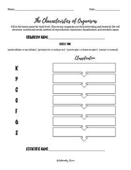 order of classification worksheet
