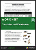 Worksheet - Taxonomy - Animals - Chordates and Vertebrates