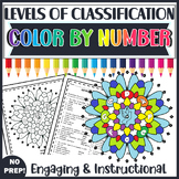 Taxonomy and Classification Color by Number | Classificati