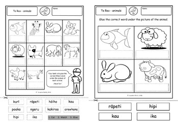 Te Reo Maori Animals By Suzanne Welch Teaching Resources Tpt