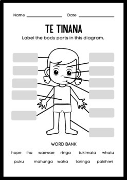 Preview of Te Tinana / Body Parts (Te Reo Maori / English)