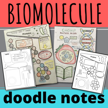 Preview of Teach Biomolecules with Doodle Notes