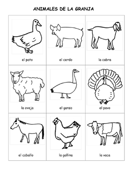 Printable Spanish Vocabulary Picture Dictionary Coloring Pages for ...
