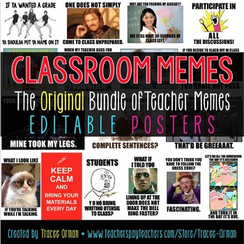 Preview of Classroom Memes Posters Editable {Back to School, Class Rules}