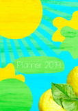 Teacher Planner 2019 Lemon Cover