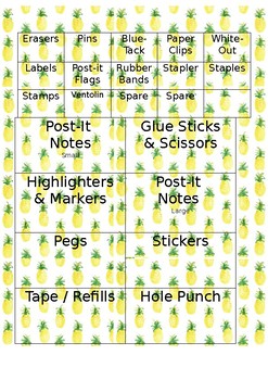 Preview of Teacher Toolbox Labels (Pineapple Theme)