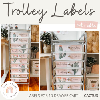 Preview of Teacher Rolling Cart Drawer Labels | Cactus Theme | Editable