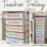 Teacher Trolley Labels | 10 Drawer Cart Labels | SPOTTY BR
