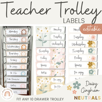 Preview of Teacher Trolley Labels | 10 Drawer Cart Labels in Daisy Gingham | Editable