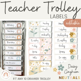 Teacher Trolley Labels | 10 Drawer Cart Labels in Daisy Gi