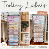 Teacher Rolling Cart Labels | Tropical Theme | Editable