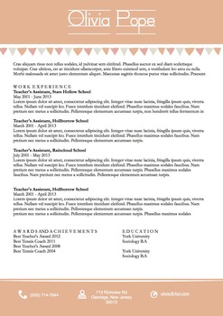 Preview of Teachers Resume Template Docx | Peach Banners