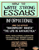 ESSAYS: How to Write Informational Essays ~ It Begins Here...