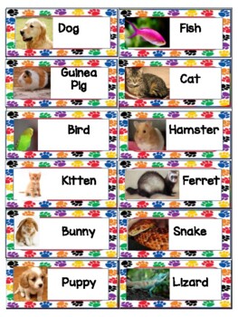 Preview of Teaching Strategies Creative Curriculum Pets study Vocabulary Cards