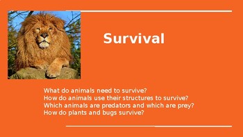 Teaching animal survival, predators and prey by Kristy's Corner | TPT
