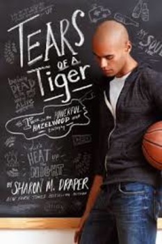Preview of Tears of a Tiger by Sharon Draper Entire Novel Activity Bundle