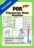 Technique: PCR (Polymerase Chain Reaction)