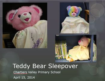 Preview of Teddy Bear Sleepover Event