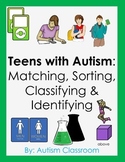 Teens with Autism: Matching, Sorting, Classifying and Identifying