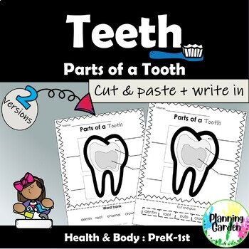 Preview of Parts of a Tooth | Tooth Label {Dental Health, Teeth}