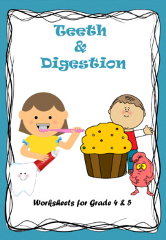 teeth and digestion worksheets for grade 4 5 google