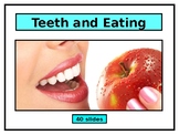Teeth and Eating - PowerPoint!