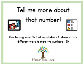 Preview of Tell me more about that number, a graphic organizer