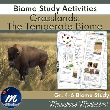Preview of Temperate Biome Grasslands Fast Facts Biome Unit Study
