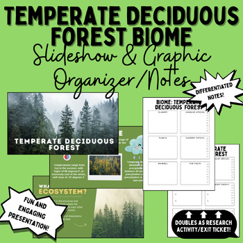 Preview of Temperate Deciduous Forest Biome Slideshow + Notes/Graphic Organizer/Research