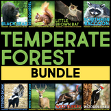 Temperate Forest BUNDLE: Nonfiction Animal Research Compre