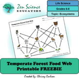 Temperate Forest Food Web: Printable FREEBIE