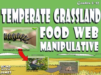 grassland food web