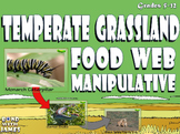 Food Chain and Food Web: Temperate Grassland Card Sort