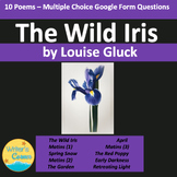 Ten Poems from The Wild Iris by Louise Gluck, Three Google