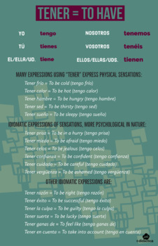 Preview of Tener "to have" conjugation, expressions and ways how to use it, poster, handout